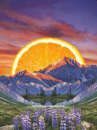 Citrus Sky Diffuser oil