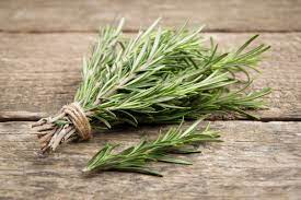 Rosemary Candle Fragrance