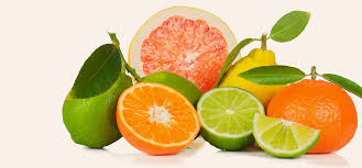 Citrus Fresh Candle Fragrance