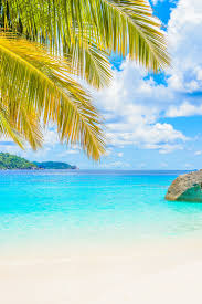 Beach fragrance Oil