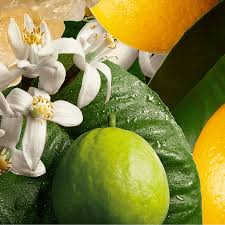 Bergamot & Orange Diffuser Oil